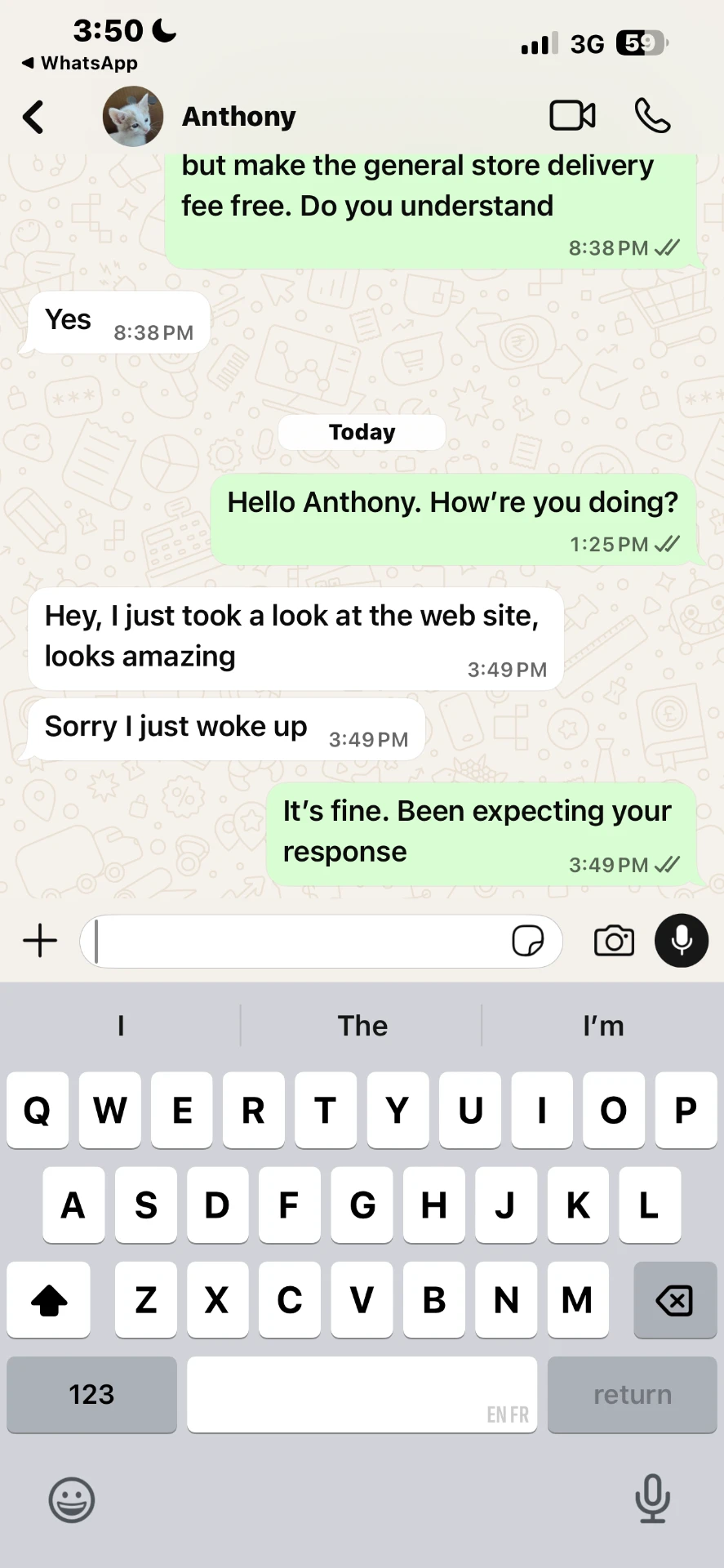 WhatsApp chat: client says the website looks amazing